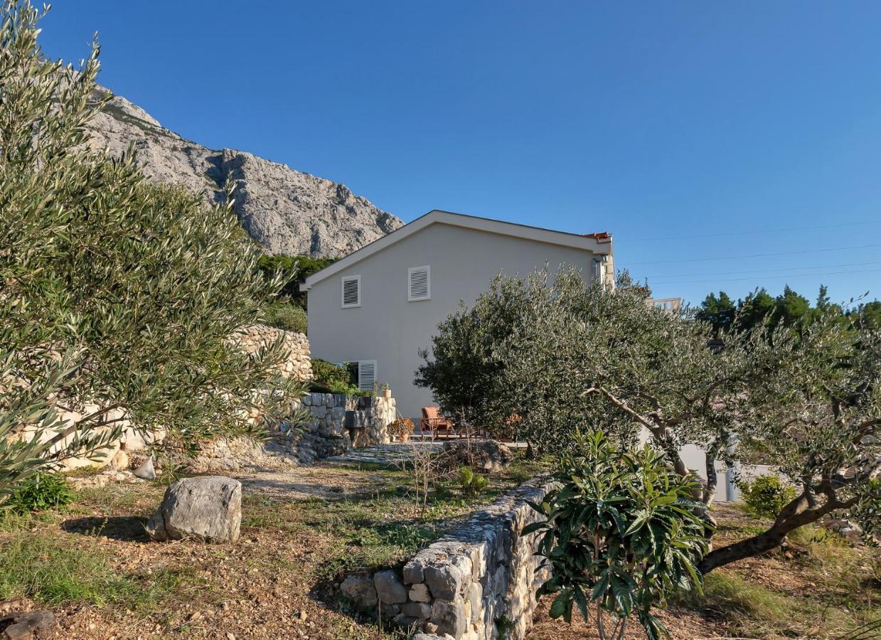 The Art Of Mediterranean Living ماكارسكا المظهر الخارجي الصورة