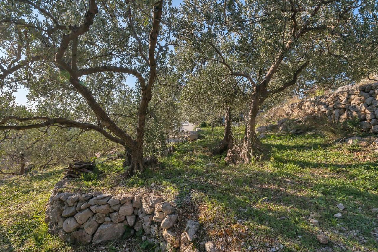 The Art Of Mediterranean Living ماكارسكا المظهر الخارجي الصورة