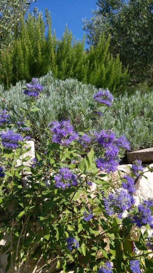 The Art Of Mediterranean Living ماكارسكا المظهر الخارجي الصورة